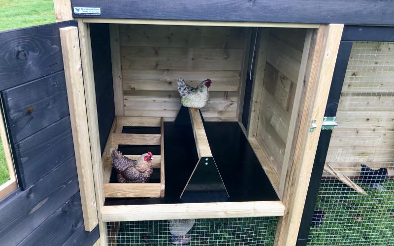 Kippenhok met ren Bolsward Deluxe type A binnenkant