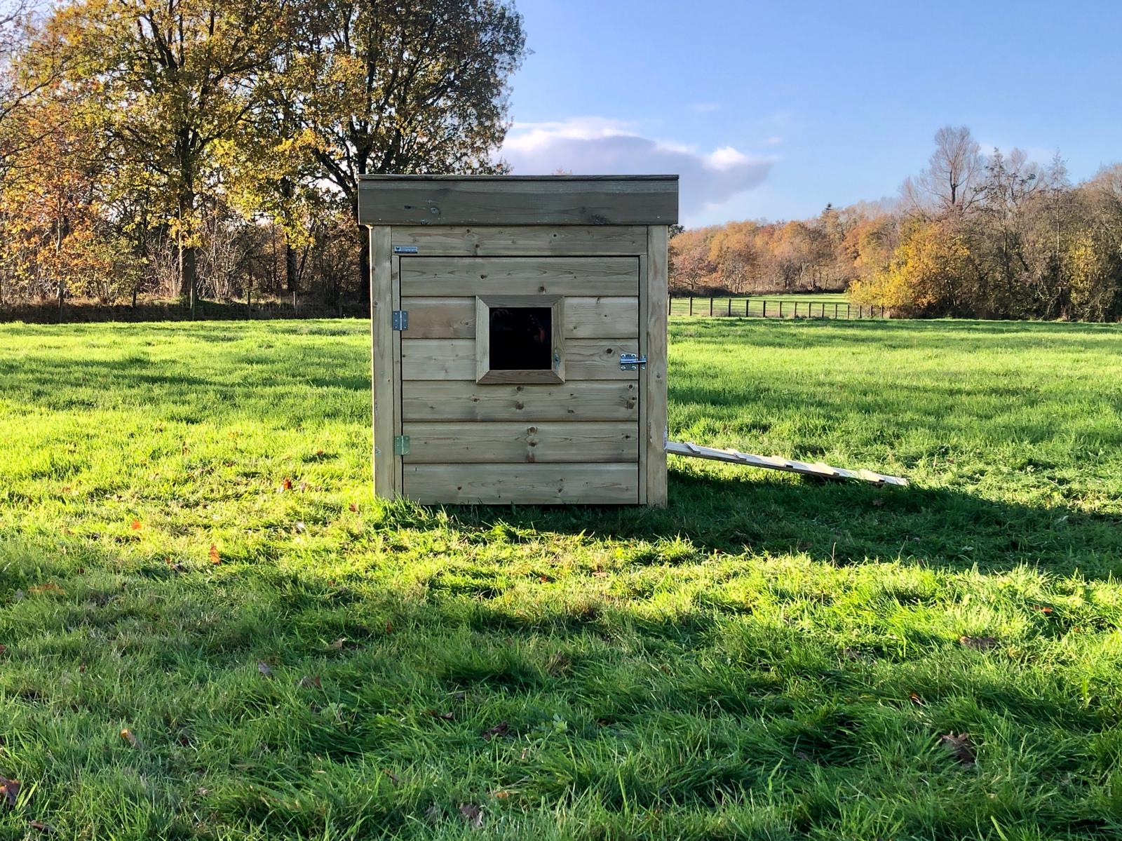 Eenden hokken kwek type A voorkant