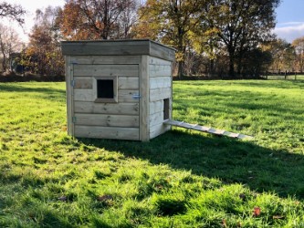 Eenden hokken kwek type A zijkant rechts