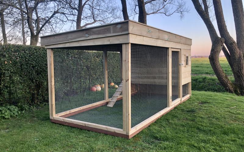 Kippenhok voorzien van uitloop en loopplank