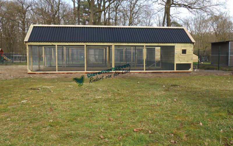 Dit kippenhok met ren heeft een groot nachthok.