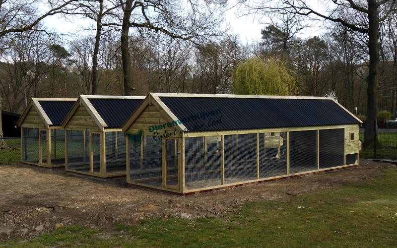 Het kippenhok met ren is volledig overdekt met golfplaten.