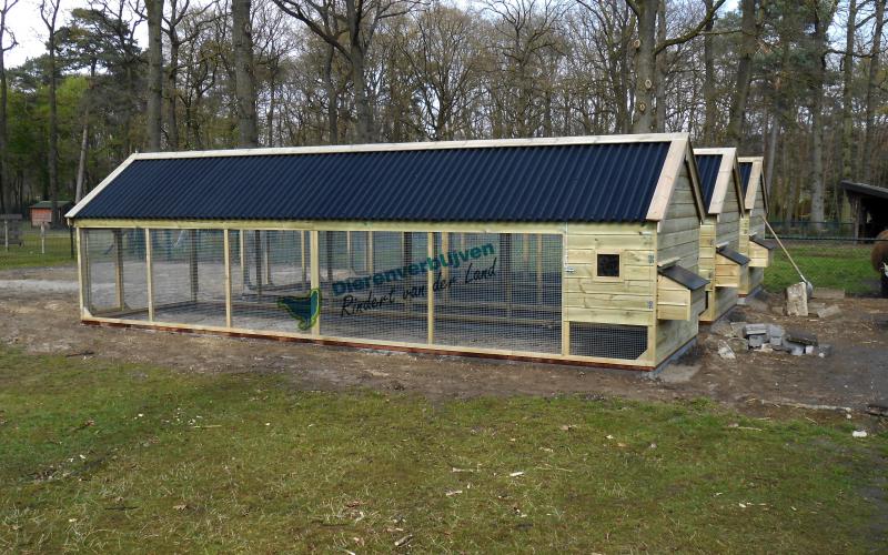 Kippenhok met ren afmetingen 600 x 200 x 215cm