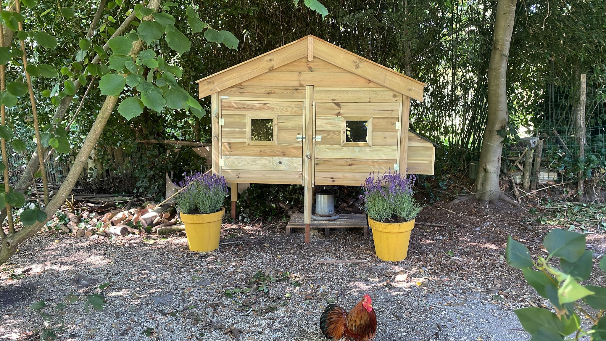 Kippenhok nachthok groot voor 12 kippen.