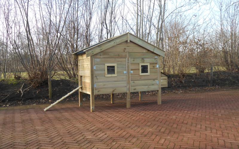 Kippenhok nachthok groot.