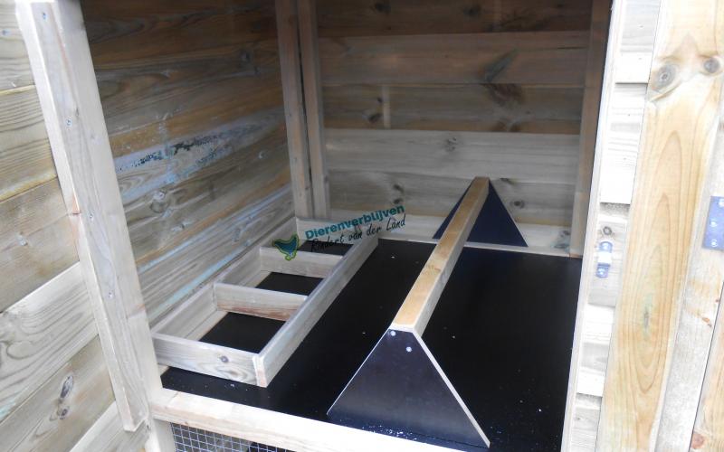 Nachthok kippen op poten binnenkant.