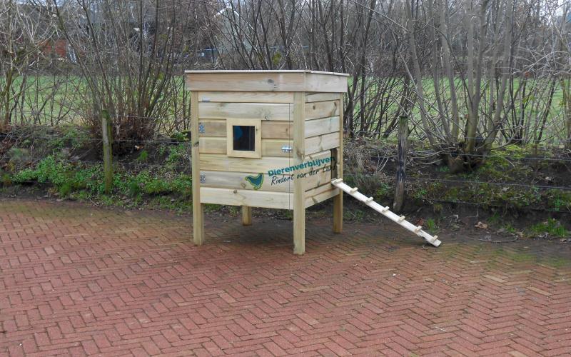 Nachthok kippen met loopplank.