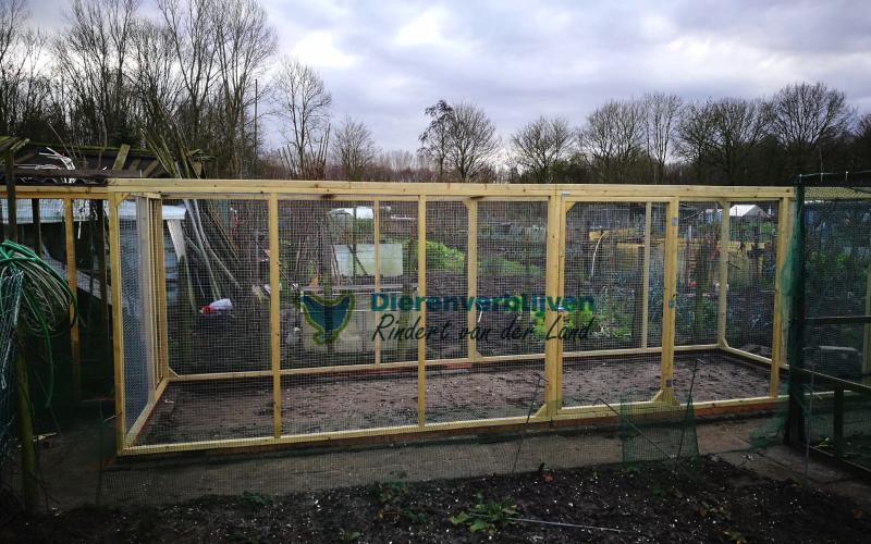 Grote kattenren voor buiten.