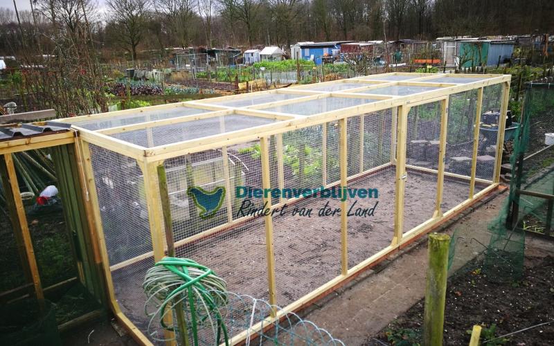 Kattenren voor aan huis.