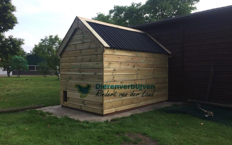 Nachthok kippen achterkant.