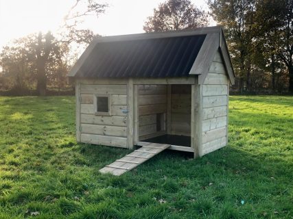 Grote brede loopplank bij eendenhok.