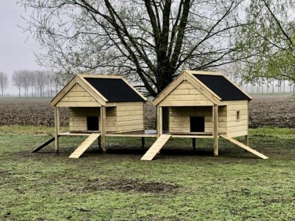 Groot Geitenverblijf met terras op poten.