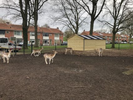 Herten schuur gebaseerd op Hindeloopen zijkant rechts