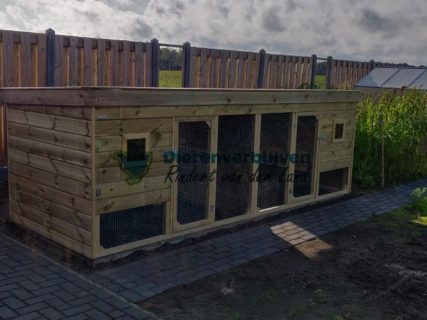 Kippenhok dubbel met dak schuin aflopend naar achteren.