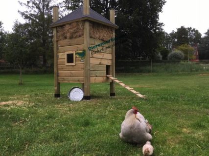 Kippenhok hooiberg bouwpakket.