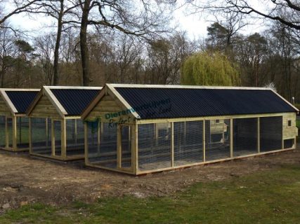 Het kippenhok met ren is volledig overdekt met golfplaten.