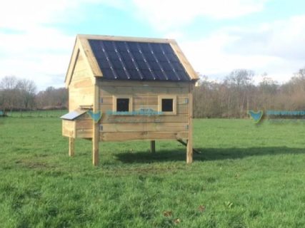 Kippenhok nachthok voor brahma kippen.