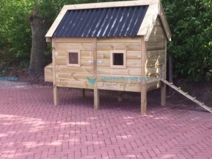 Kippenhok zonder ren groot.