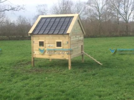 Kippenhok zonder ren geschikt voor grote kippen zoals brahma kippen.