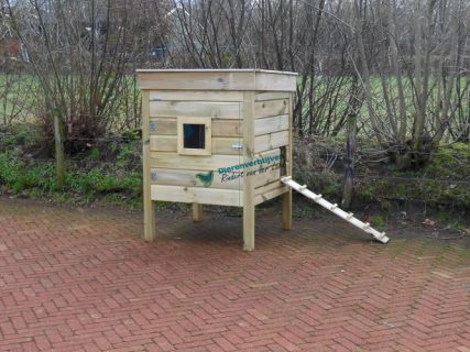 Nachthok kippen met loopplank.